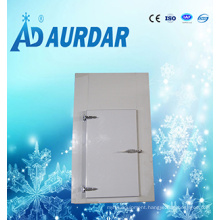 Ad-03 Light Cold Room Sliding Door, 45kg/M3 Density with Handle